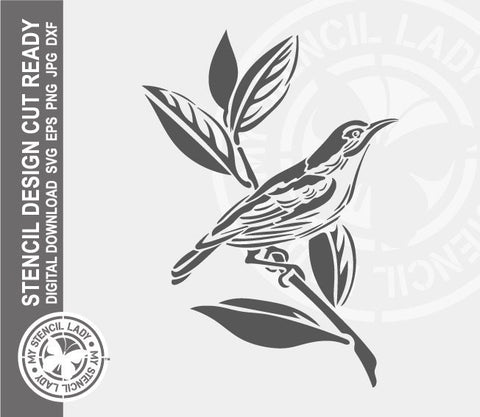 Blue-faced Honeyeater 1481 Stencil Digital Download Laser Cricut Cut Ready Design Templates SVG PNG JPG EPS DXF Files