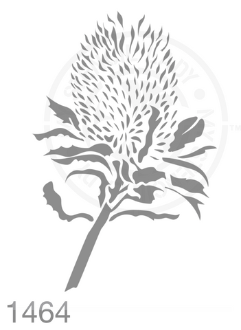 Banksia Flower Hand Drawn Illustration Stencil 1464 Australian Natives Plants and Animals Reusable Templates and Stencils