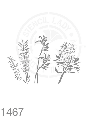 Bottlebrush, Kangaroo Paw and Banksia Hand Drawn Illustration Stencil 1467 Australian Natives Plants and Animals Reusable Templates and Stencils