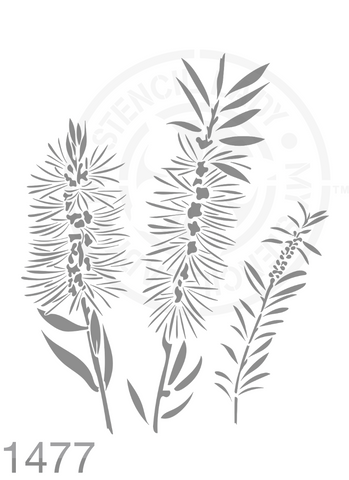 Bottle Brush Hand Drawn Illustration Stencil 1477 Australian Natives Plants and Animals Reusable Templates and Stencils