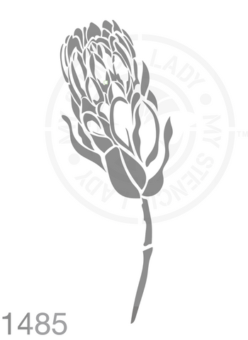 Protea Hand Drawn Illustration Stencil 1485 Plants and flowers reusable stencils