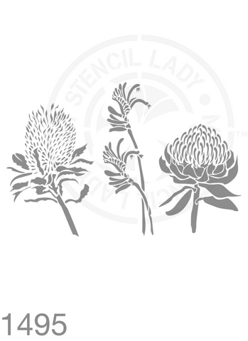 Banksia, Kangaroo Paw, Warratah Flowers Hand Drawn Illustration Stencil 1495 Australian Natives Plants and Animals Reusable Templates and Stencils